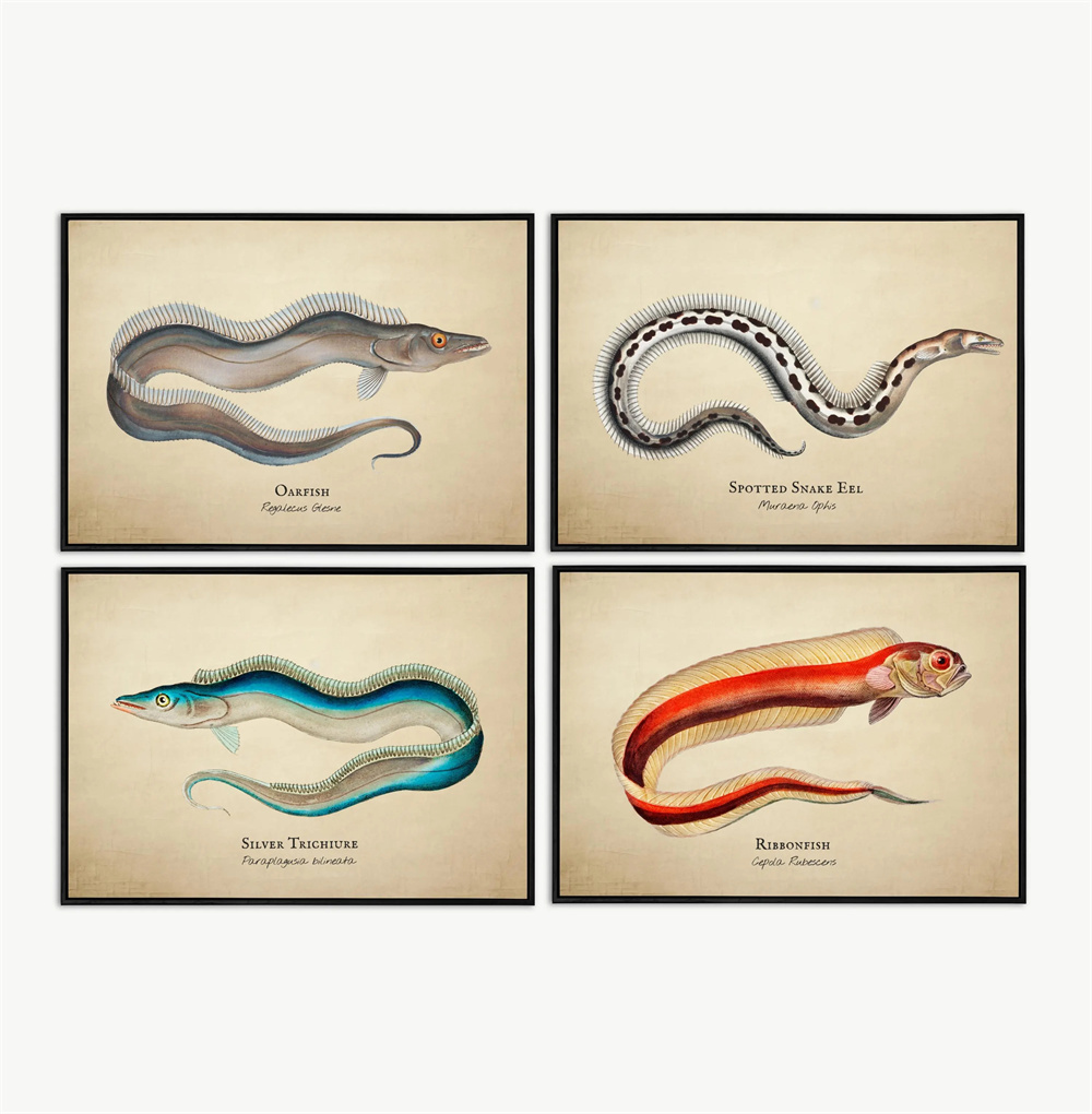 Images Vintage poissons tropic - Fish In Aquarium Picture avis et prix