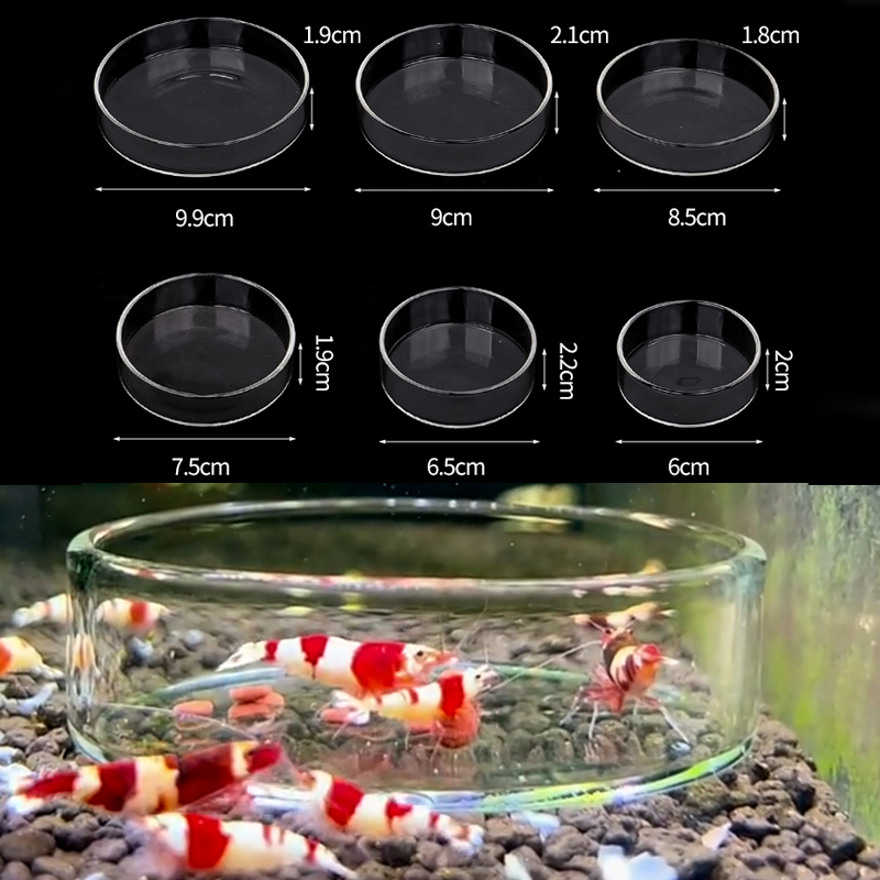 Plat d'alimentation pour creve - Aquarium Fish Feeder avis et prix