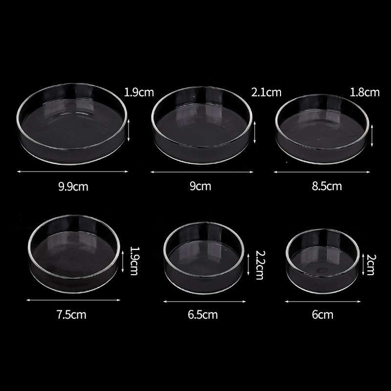 Plat d'alimentation pour creve - Aquarium Fish Feeder avis et prix