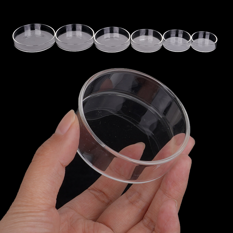Plat d'alimentation pour creve - Aquarium Fish Feeder avis et prix