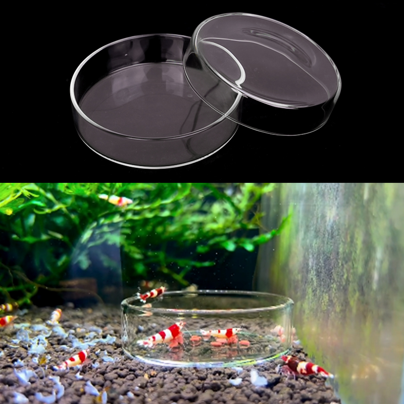 Plat d'alimentation pour creve - Aquarium Fish Feeder avis et prix