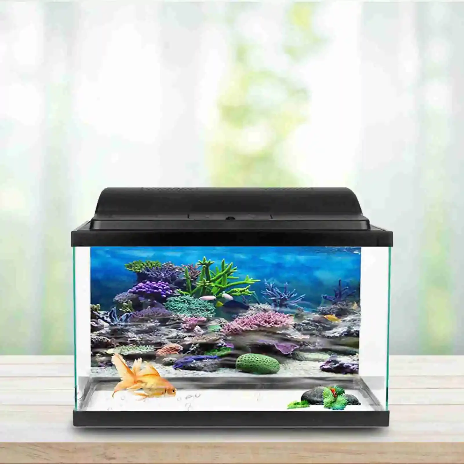 Affiche de paysage d'aquarium  - Aquarium Fish Wallpaper Hd avis et prix