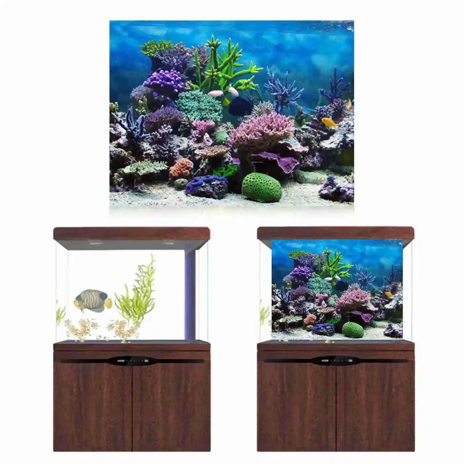 Affiche de paysage d'aquarium  - Aquarium Fish Wallpaper Hd avis et prix