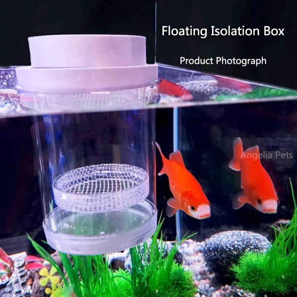 Boîte d'isolation flottante en - Aquarium Fish Feeder avis et prix