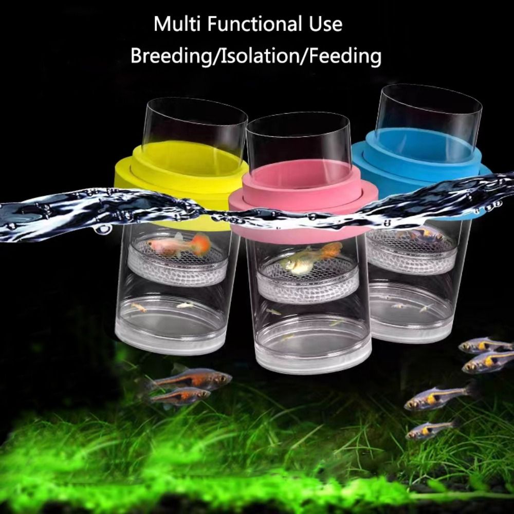 Boîte d'isolation flottante en - Aquarium Fish Feeder avis et prix