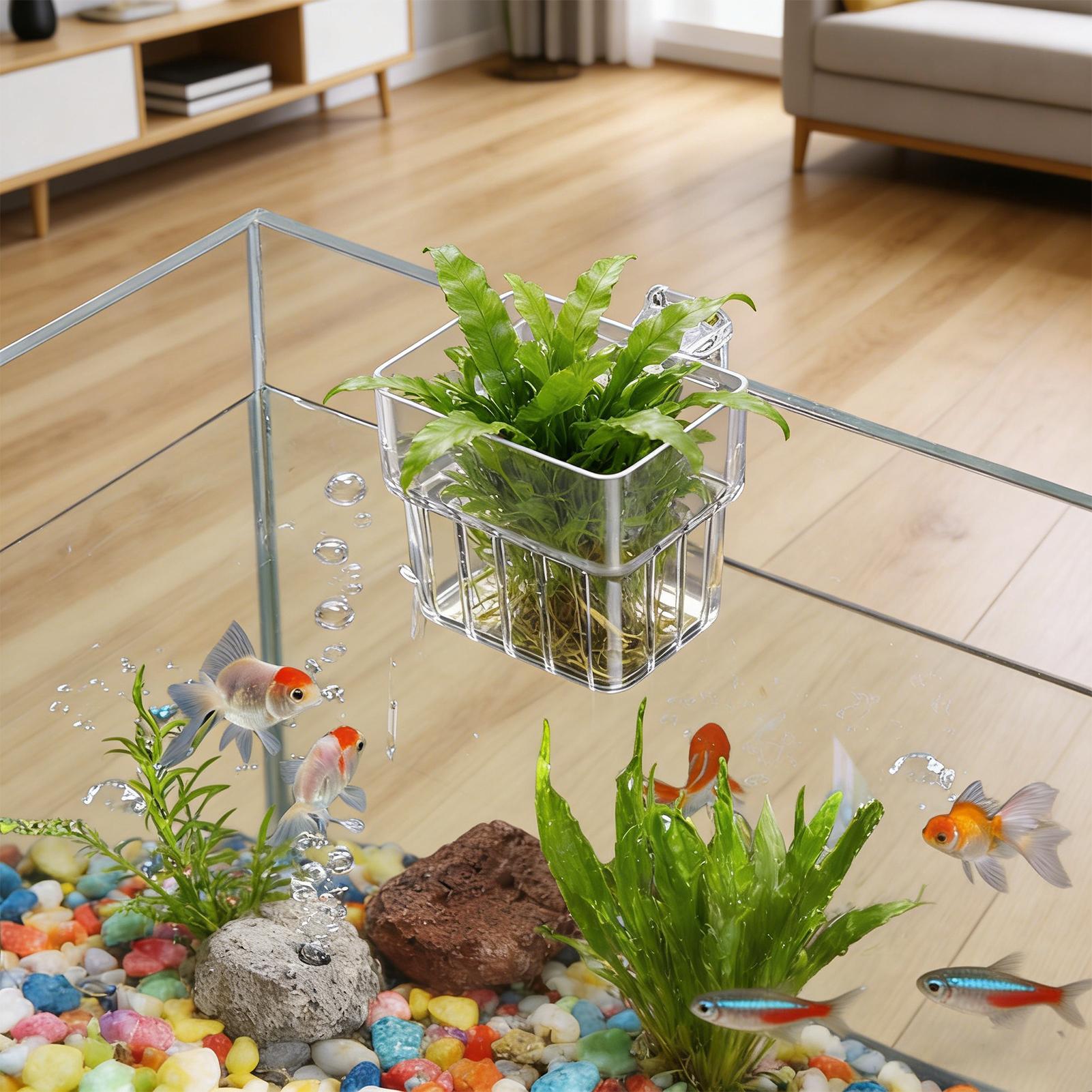 Support transparent suspendabl - Aquarium Fish Pot avis et prix