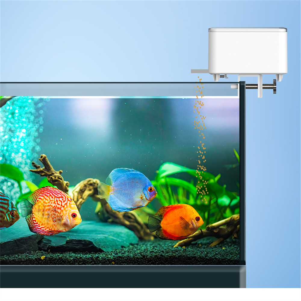 Mangeoire automatique intellig - Aquarium Fish Feeder avis et prix