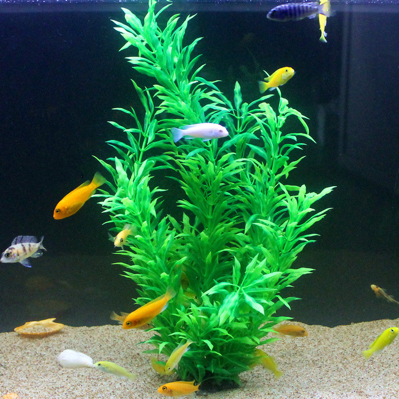 Plantes artificielles pour aqu - Aquarium Fish Fishing avis et prix