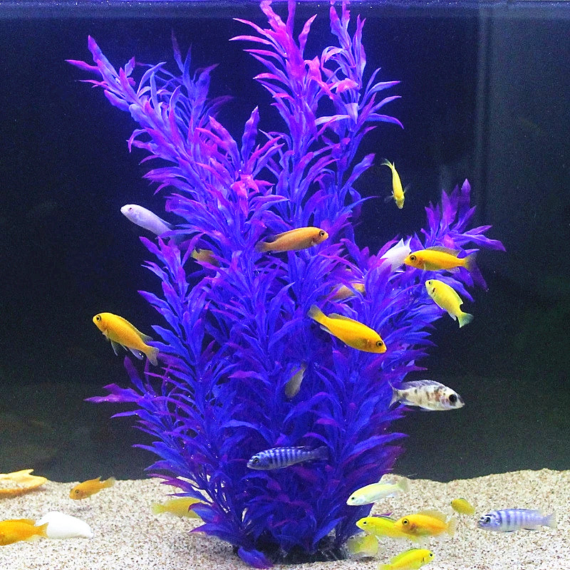 Plantes artificielles pour aqu - Aquarium Fish Fishing avis et prix