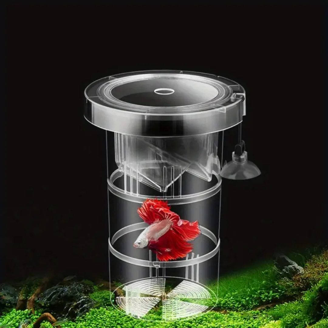 Boîte d'isolation flottante en - Aquarium Fish Feeder avis et prix