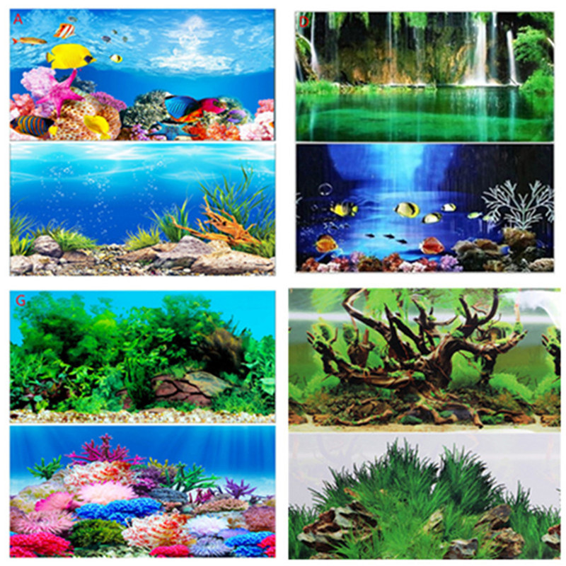Poster de fond d'aquarium bril - Fish In Aquarium Picture avis et prix