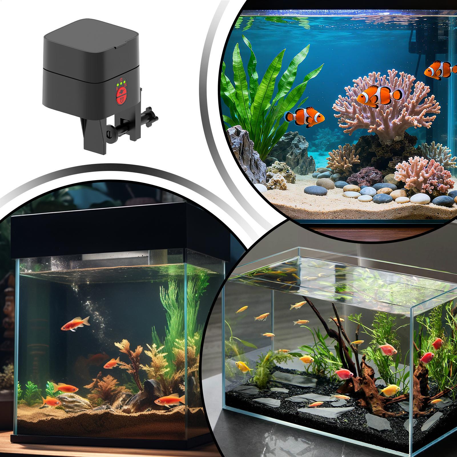 Distributeur automatique de no - Aquarium Fish Feeder avis et prix