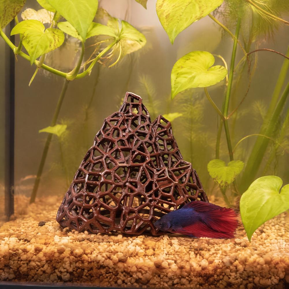 Décoration aquatique pour aqua - Fish In Aquarium Picture avis et prix