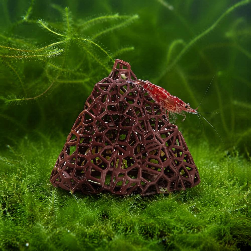 Décoration aquatique pour aqua - Fish In Aquarium Picture avis et prix