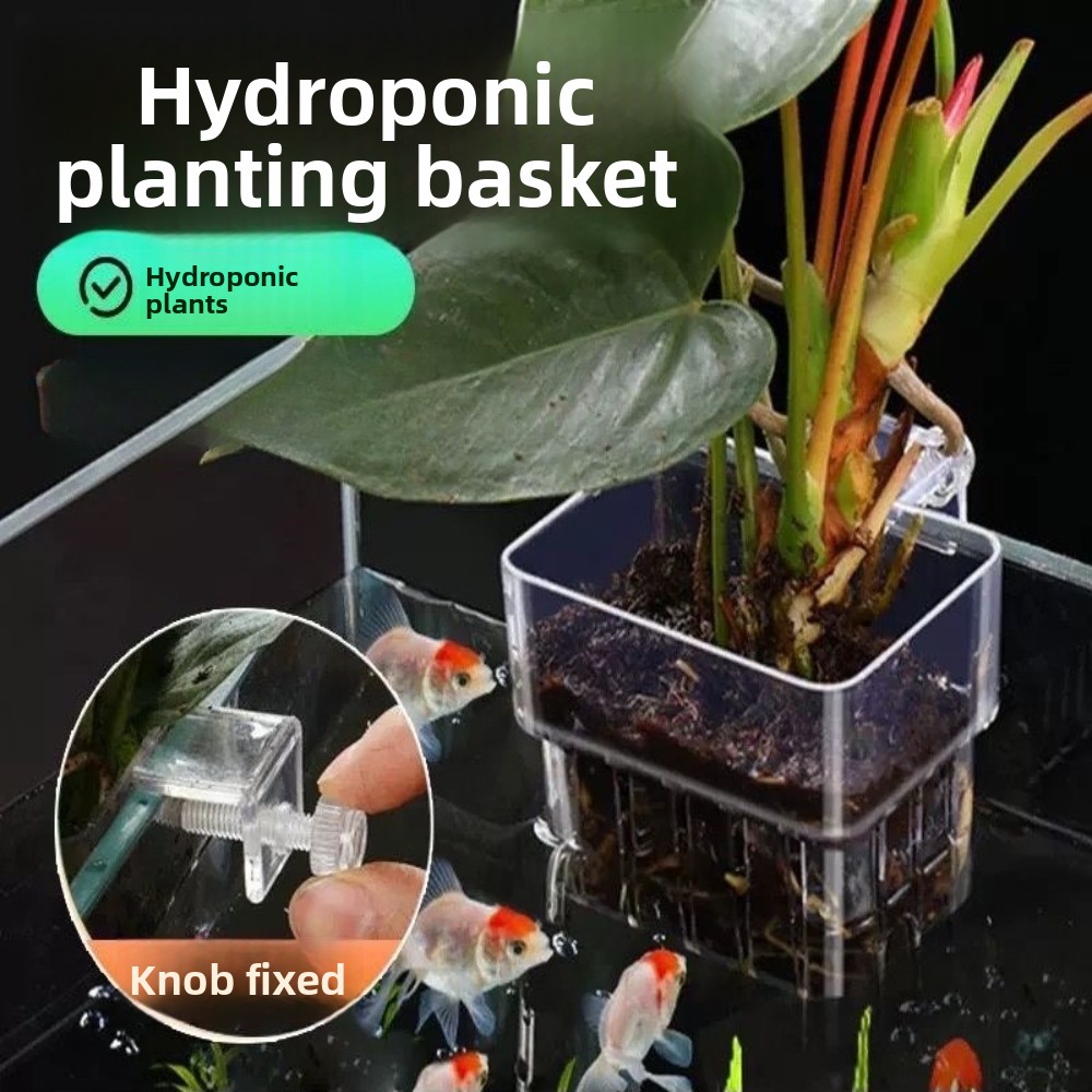 Panier de plantation hydroponi - Aquarium Fish Pot avis et prix