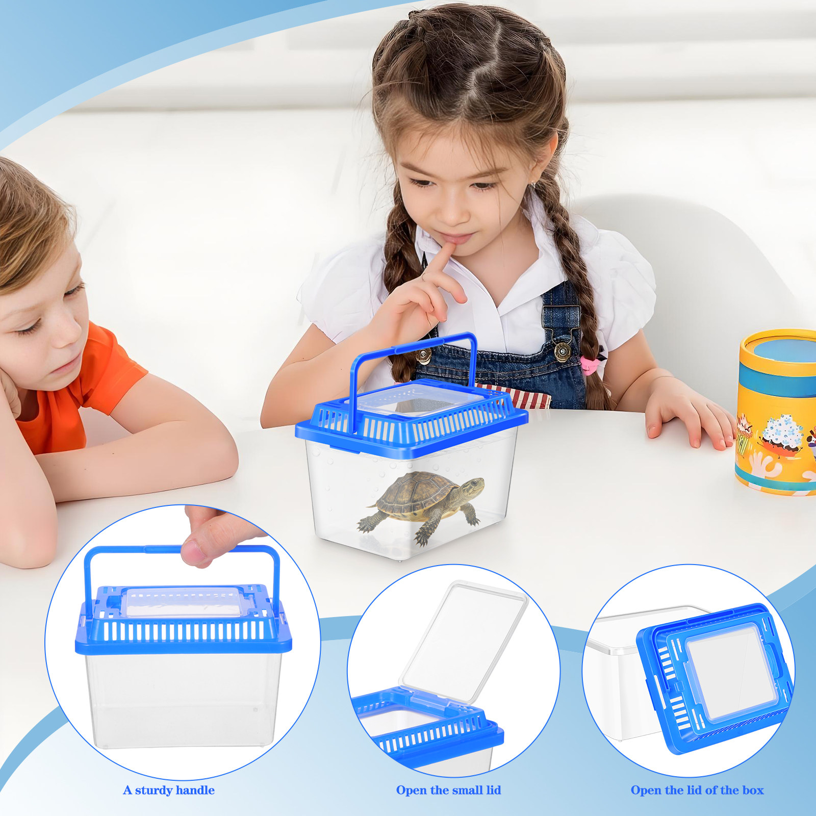 Mini aquarium portable transpa - Aquarium Fish Betta avis et prix