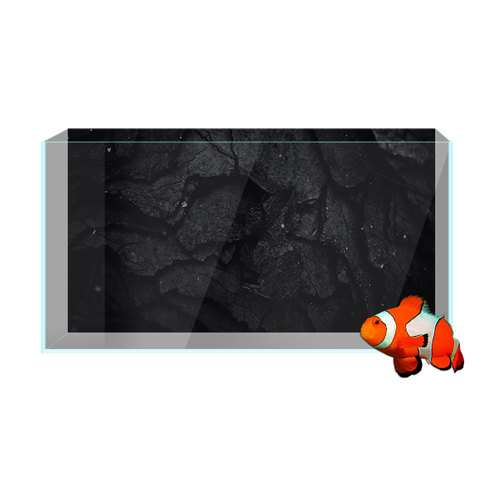 Autocollant de fond d'aquarium - Aquarium Fish Wallpaper Hd avis et prix