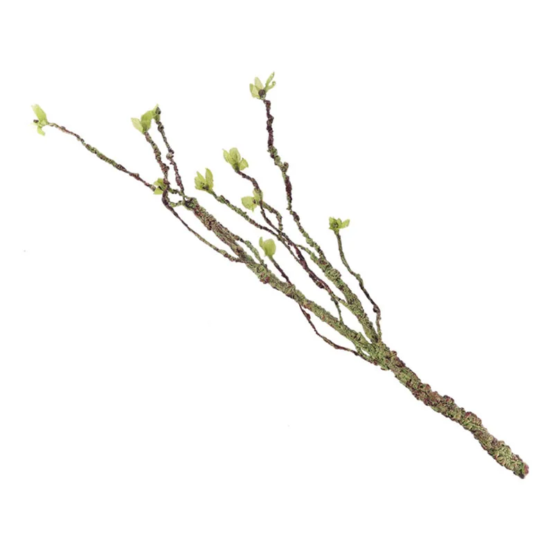 Vignes décor Branches d'escala - Aquarium Fish Fishing avis et prix