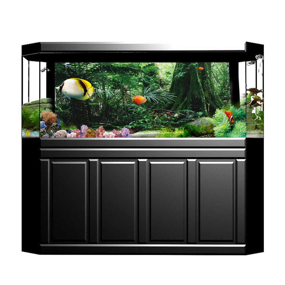 Affiche de fond de forêt tropi - Fish In Aquarium Picture avis et prix
