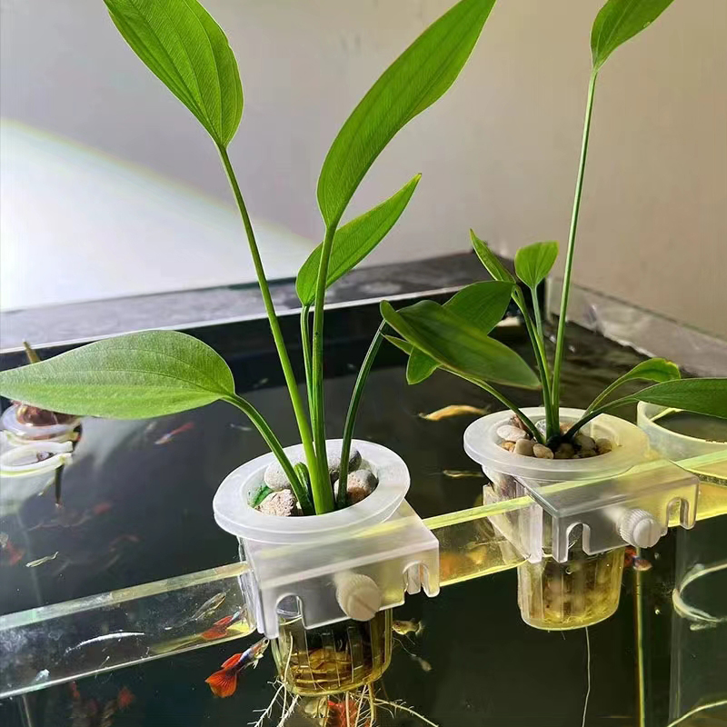 Panier de plantation d'aquariu - Aquarium Fish Pot avis et prix
