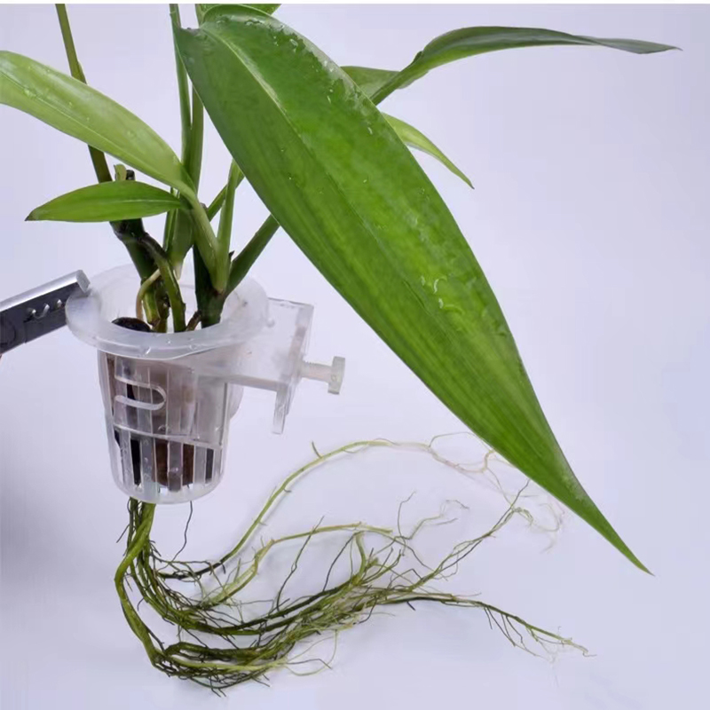 Panier de plantation d'aquariu - Aquarium Fish Pot avis et prix