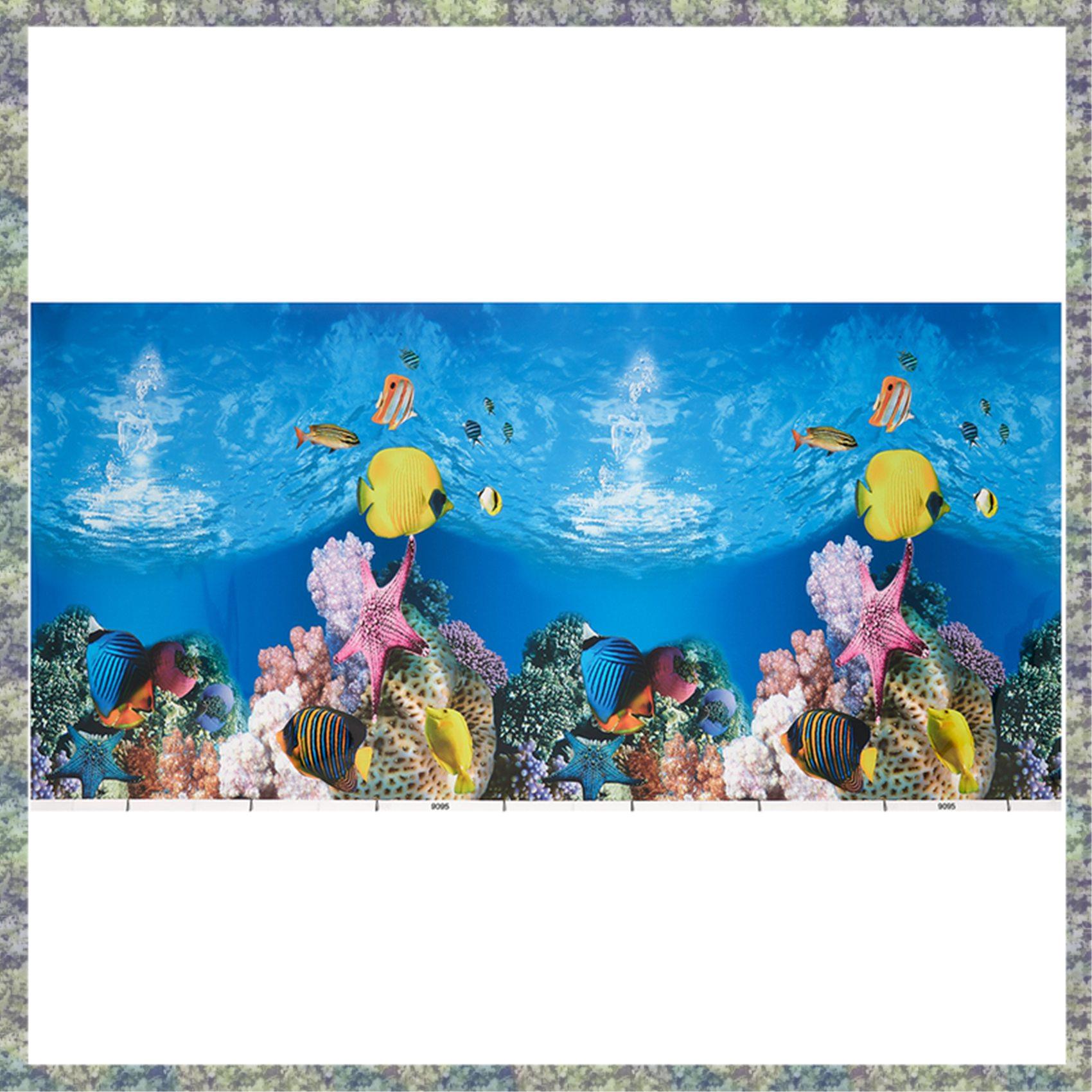 WON Aquarium fond papier HD im - Fish In Aquarium Picture avis et prix