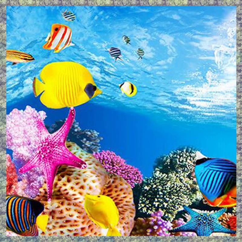 WON Aquarium fond papier HD im - Fish In Aquarium Picture avis et prix