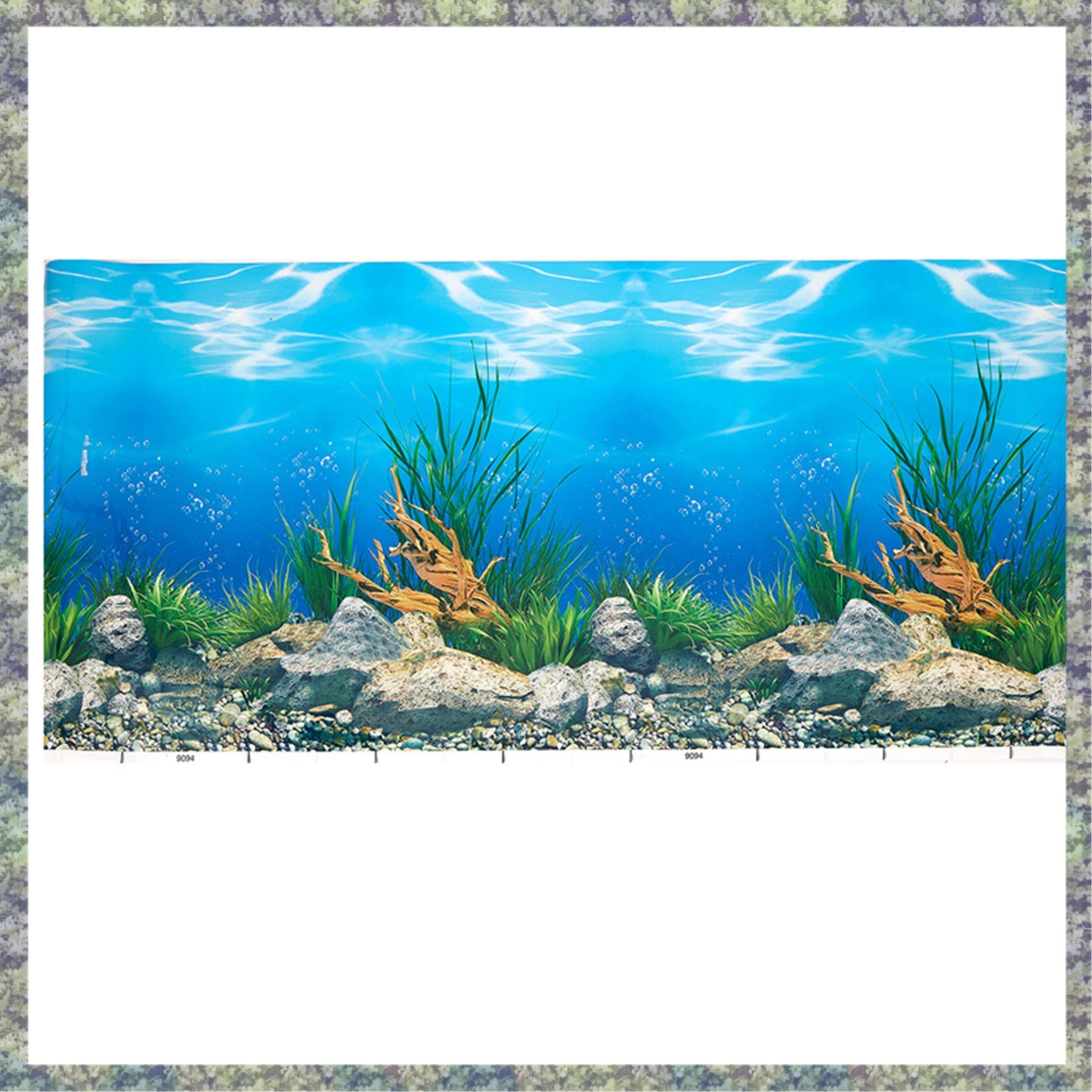 WON Aquarium fond papier HD im - Fish In Aquarium Picture avis et prix