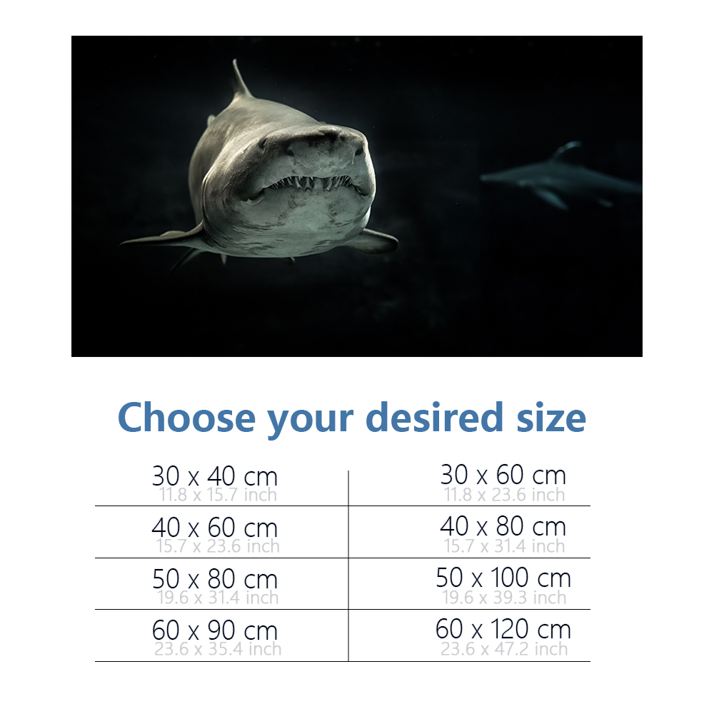Fond d'aquarium 3D requin noir - Aquarium Fish Wallpaper Hd avis et prix